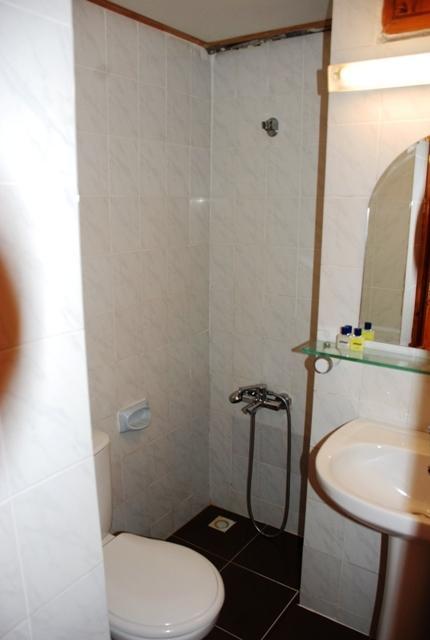 Kerman Hotel 4*