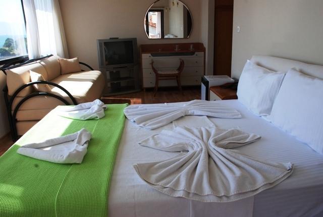Kerman Hotel 4*